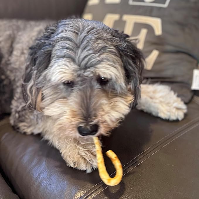 Fieldcrest Farms Nothin' to Hide Mini Holiday Candy Cane Chicken Flavor Dog Chews, Rawhide-Free, Easily Digestible, Long-Lasting, All-Natural Treats for Moderate Chewers up to 15lbs, 6-Ct