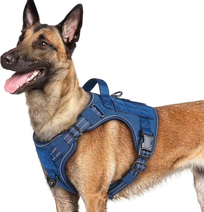 rabbitgoo Dog Harness for Large Dogs No Pull, Tactical Service Dog Vest with Molle and Control Handle, Adjustable and Reflective Military Pet Harness for Easy Walking and Training, Blue, L
