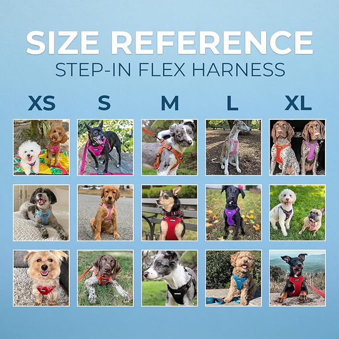 Best Pet Supplies Voyager Adjustable Dog Vest Harness Breathable No Pull Harness for Small, Medium, Large Dogs, Harness for Walking, Jogging, Easy Step-In, Reflective Stripes - (Baby Blue), XL