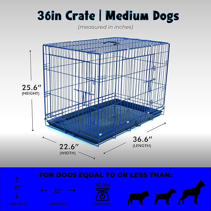 PET Expressions Luxury Colorful 36 Inch Foldable Dog Crate with 2 Doors | Free Training Ebook and Pet Calming Music | 3 Colors & 3