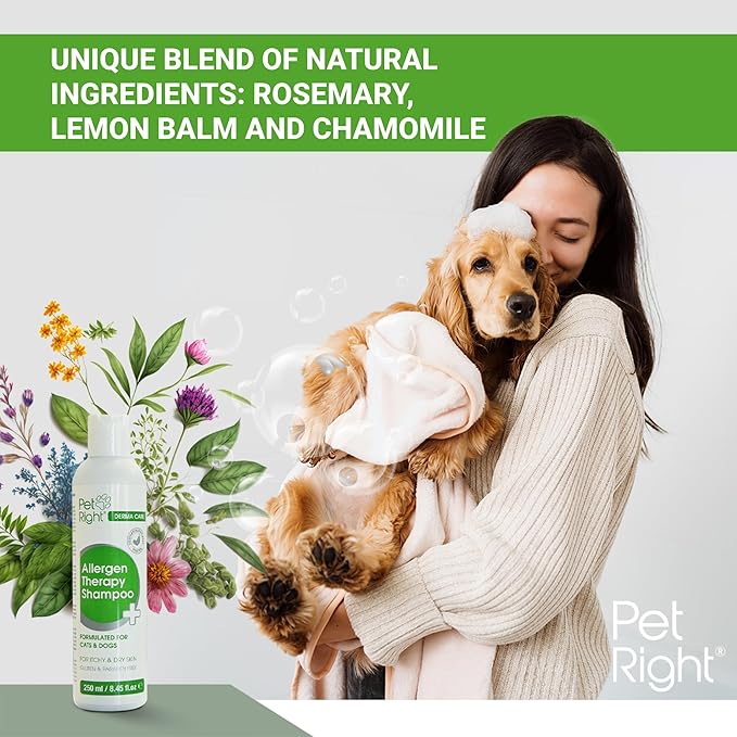 Derma Care Dog Shampoo Allergen Therapy with Plant extracts for Dogs and Cats, relieves itching and odours, Sensitive Formula 250 ml