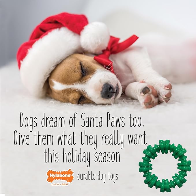 Nylabone Power Chew Textured Ring Dog Toy, Dog Chew Toys for Aggressive Chewers, Winter Green Flavor, Small/Regular - Up to 25 lbs. (1 Count)