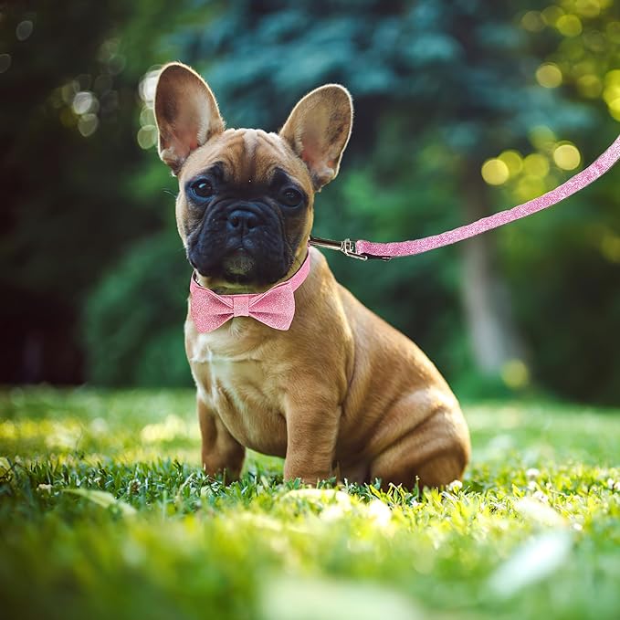 Bling Bow Tie Dog Collar and Leash Set, Cute Pink Girl Dog Collar with 5ft Leash for Small Medium Dogs Daily Walking or Holiday Party (Neck fit 13-19’’)