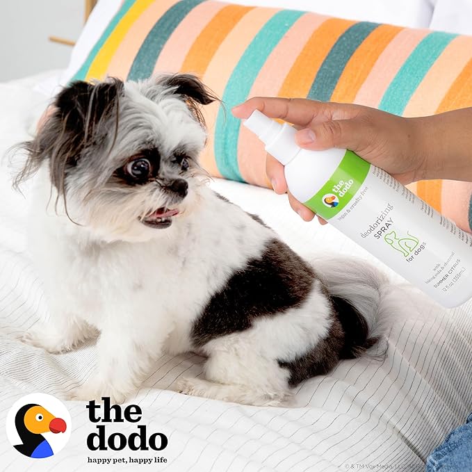 The Dodo Deodorizing Shampoo & Spray Twin Pack for Dogs; 12oz Deodorizing Dog Shampoo + 12oz Deodorizing Dog Spray with Charcoal; Vegan, Cruelty-Free, No DEA, MEA, SLS or Parabens