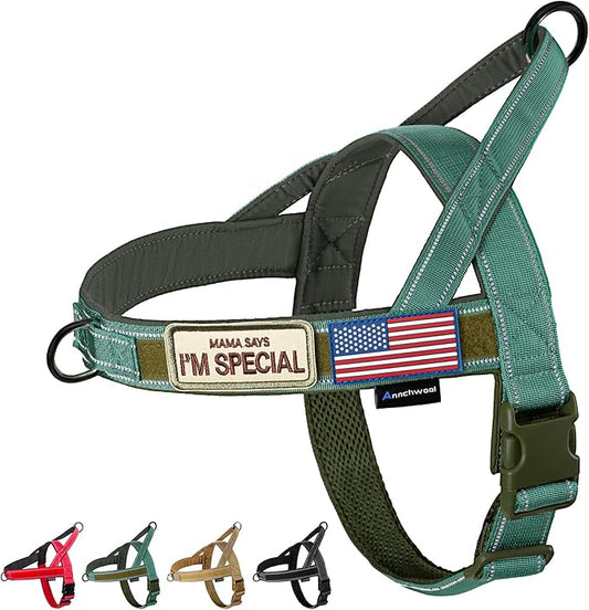 Annchwool No Pull Dog Harness with Soft Padded Handle,Reflective Strip Escape Proof and Quick Fit to Adjust Dog Harness,Easy for Training Walking for Small & Medium and Large Dog(Green,S)