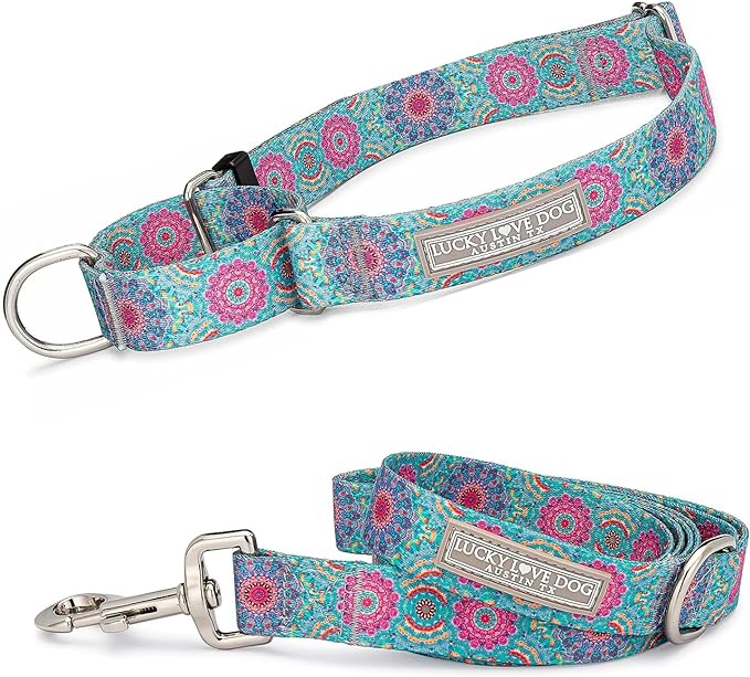 Lucky Love Dog, Boho Chic Martingale Dog Collar for Girl Boy Dogs, Premium No Slip Collar and Leash Set, Vivid Pink and Turquoise Martingale Collar for Dogs (Large, Clara Mart - Combo)