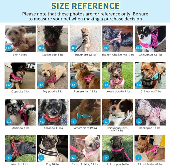 SlowTon No Pull Small Dog Harness and Leash Set, Puppy Soft Vest Harness Neck & Chest Adjustable, Reflective Lightweight Harness & Anti-Twist Pet Lead Combo for Small Medium Dogs (G-Front Clip,XXS)