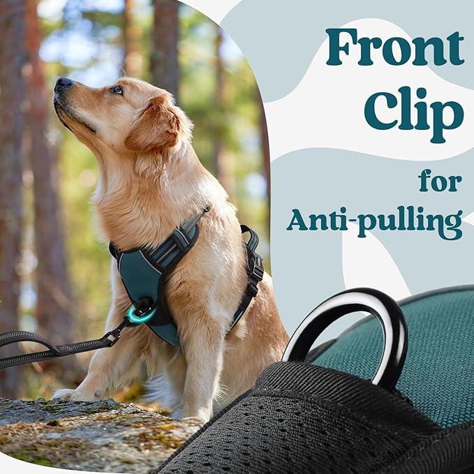 rabbitgoo Dog Harness Medium Sized, No Pull Pet Harness with 3 Buckles, Adjustable Soft Padded Dog Vest with Instant Control Handle, Easy Walking Reflective Pet Vest for Medium Dogs, Blue Coral, M