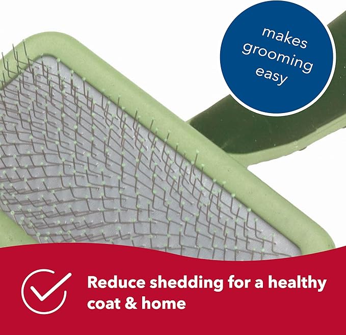 Coastal Pet Safari Dog Soft Slicker Brush - Dog Grooming Brush for Shedding - for Dogs with Short, Medium and Long Hair - Medium - 6.25" x 3.5"