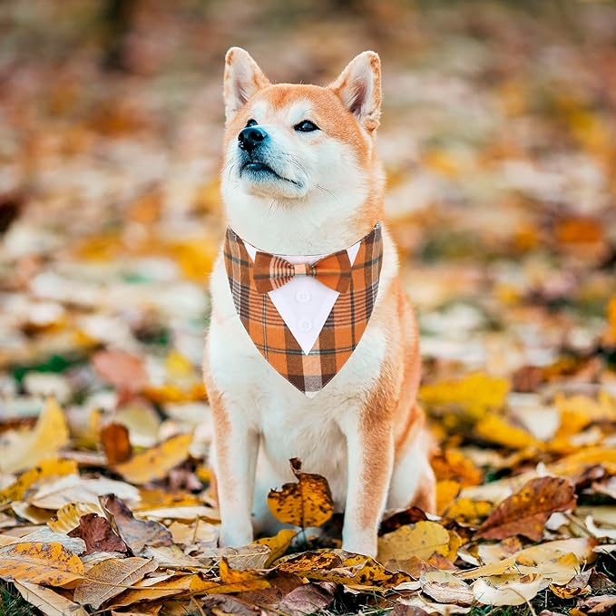 ADOGGYGO Fall Dog Tuxedo Bandana, Orange Plaid Pet Tux Collar with Bowtie, Adjustable Halloween Thanksgiving Formal Costume for Medium Large Dogs Pets (L)
