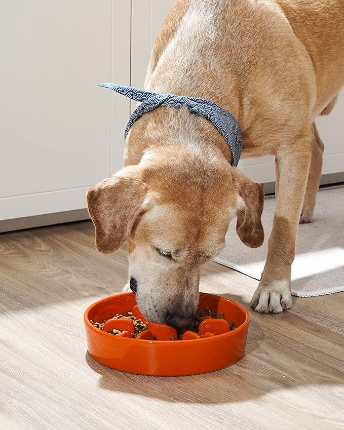 LE TAUCI Dog Bowls Slow Feeder Ceramic, 3 Cup Slow Bowl, 9.5 Inch Puzzle Feeders, Sun Orange