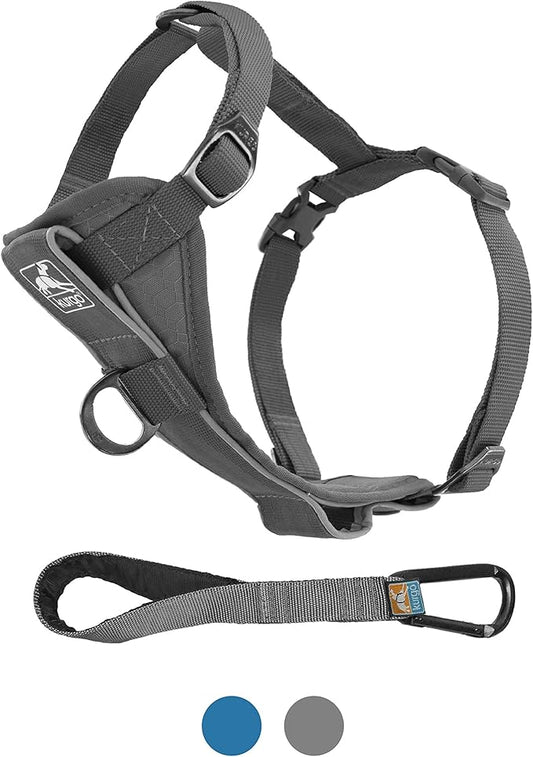 Kurgo Tru-Fit Smart Harness, Dog Harness, Pet Walking Harness, Quick Release Buckles, Front D-Ring for No Pull Training, Includes Dog Seat Belt Tether (Grey, Large)