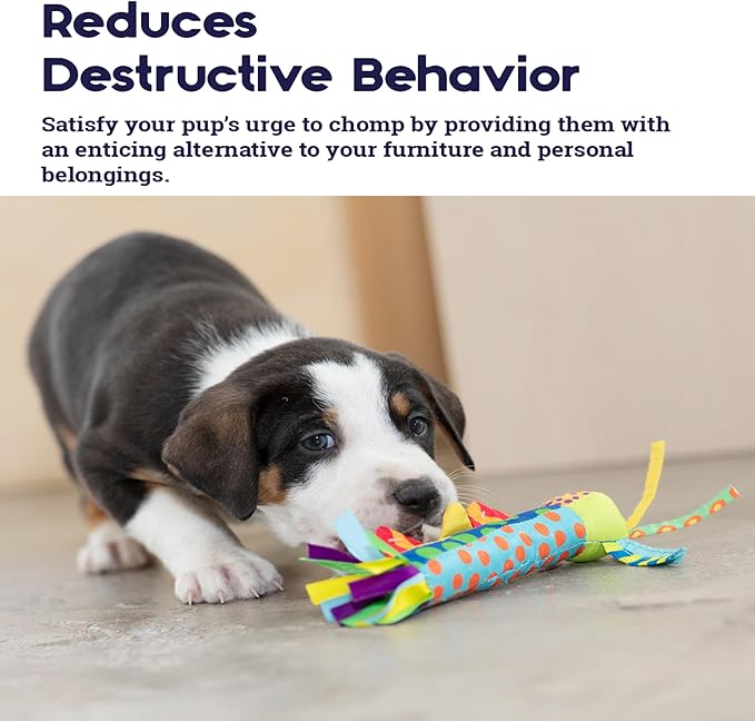 Petstages Cool Teething Stick for Dogs - Soothing Chew Toy for Teething Puppies - Freezable for Added Relief - Durable & Safe Dental Aid, Multicolor, One-Size