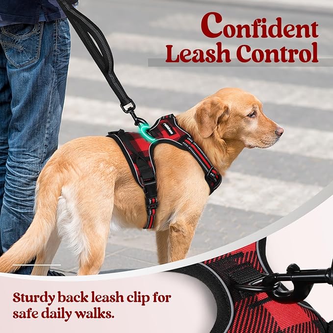rabbitgoo Dog Harness Small Sized Dog No Pull, Comfortable Padded Plaid Dog Harness with Handle Easy Control, Adjustable Reflective Puppy Pet Harness Vest with 2 Leash Clips, Red Plaid, S