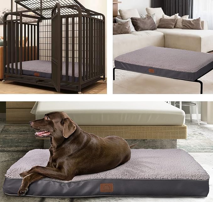 Orthopedic Dog Bed for Large Dogs and Extra Large Dogs, XL Dog Bed with Removable Waterproof Cover and Machine Washable Dog Bed, Pet Bed Mat Egg-Crate Foam, L-Plus(36"X27"X3"), Grey