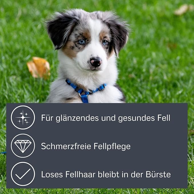 alcott Bamboo Groom Curry Brush with Rubber Bristles for Pets,Brown