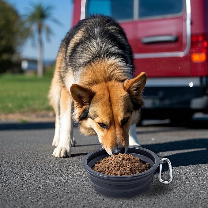 Dog Bowl Pet Collapsible Bowls, 2 Pack Collapsible Dog Water Bowls for Cats Dogs, Portable Pet Feeding Watering Dish for Walking Parking Traveling with 2 Carabiners (Black+Black, Medium)