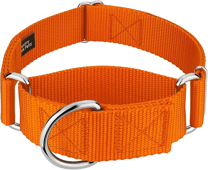 Country Brook Petz 1 1/2 Inch Martingale Heavy Duty Nylon Adjustable Dog Collar for Small, Medium, Large Breeds - Vibrant 17 Color Selection (Orange, Medium)