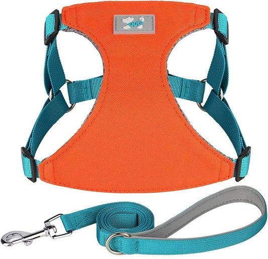 Beirui Small Dog Harness and Leash Set, No Pull Step-in Harness for Puppy, Lightweight Air Mesh Pet Harness for Small Dogs (Orange, XS)