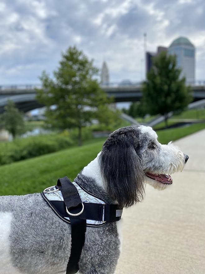 ShawnCo Essential Dog Harness, No-Pull Pet Vest with 3 Leash Clips, No Choke, Reflective, Adjustable and Padded, for Easy Walking and Training for Small, Medium and Large Dogs (White Marble, Medium)