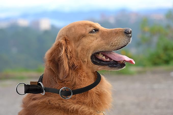 Braided Collar, Pro Training Dog Collar, No Pull Round Collar, Slip Collar with Slidable Stop Ring - Ideal for Medium/Large Dogs (M+(1/2") - 18" Long, Black)