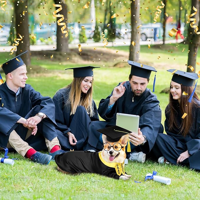 5 Pcs Dog Graduation Costume Set Include 2025 Pet Graduation Gown with Stole Puppy Grad Cap Lensless Glasses DIY Letter Stickers for Dogs Cats Holiday Costume Accessory(Black Yellow,2XL)