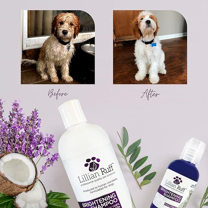 Lillian Ruff Ultra-Brightening Professional Whitening Shampoo for Dogs with Aloe & Coconut Oil for Dry Skin & Itch Relief - pH-Balanced Dog Whitening Shampoo Remove Stains, Yellowing, & Odor (16oz)