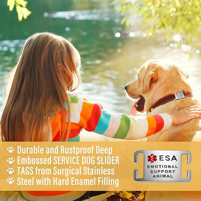 No Noise Stainless Steel K9 ESA Dog Tags, Slide on Dog Collar or Harness Quickly and Securely – PVD Gold/Medium