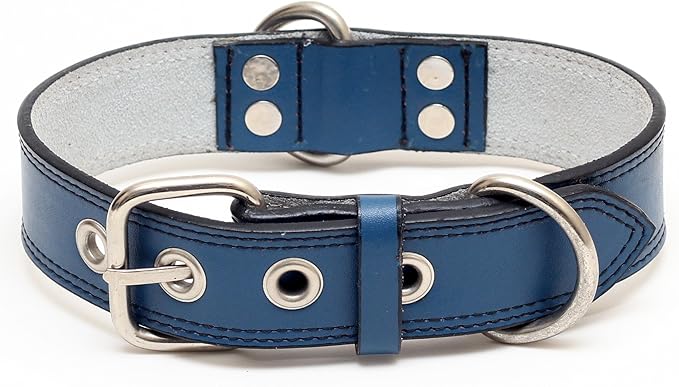 Premium Leather Collars with Stainless Steel Buckles (15"-18", Blue)