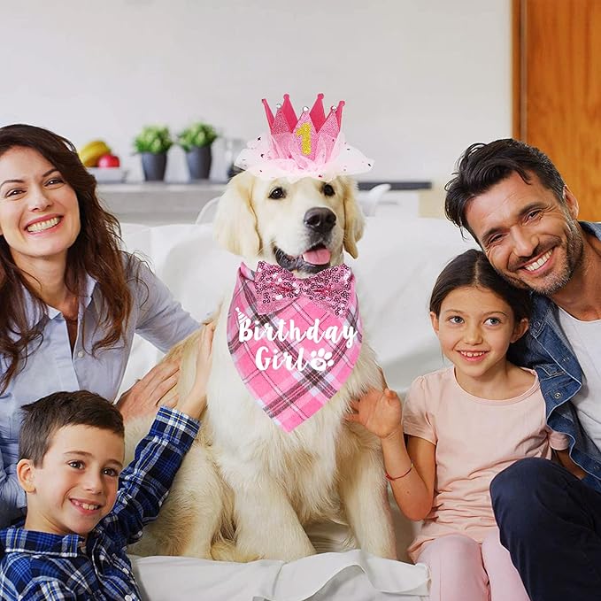 Dog Birthday Party Supplies, Multi Sizes Dog Birthday Hat Crown with Numbers Bandana Girl Bow Tie for Medium Large Dogs Pets (Pink, Large)