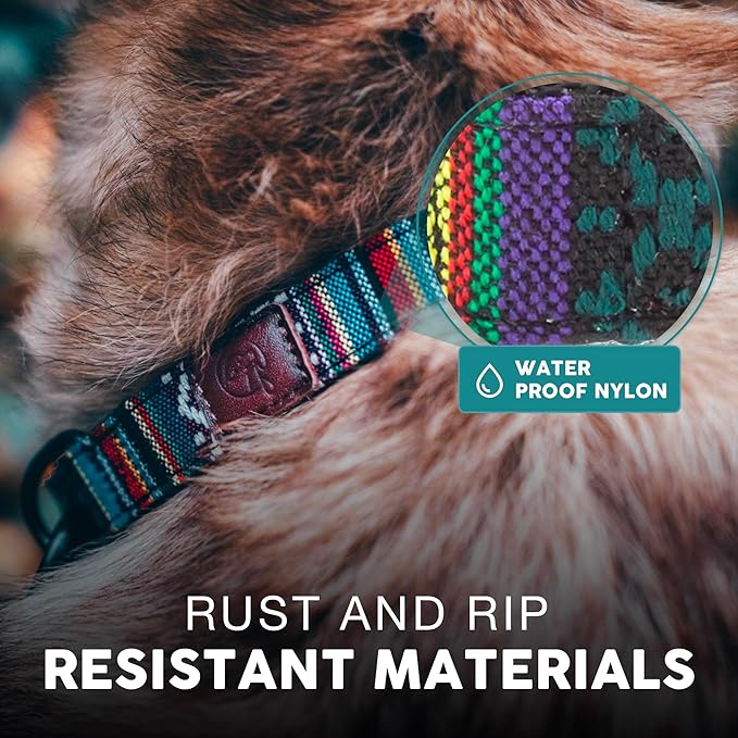 Embark Urban Dog Collar – Dog Collar Stylish & Durable Nylon Dog Collar for Large Dogs, Small Dogs & Medium Dogs.Comfortable Pet Collar Strong Buckles for Any Size Breed (Mayan, Medium)