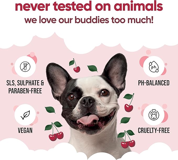 Black Cherry Dog Conditioner (16.90oz) Made with Aloe Vera, Argan Oil & Pro Vitamin B5 | Detangle Matted Coats & Relieve Sensitive & Itchy Skin, Suitable for Puppies from 8 Weeks, Vegan