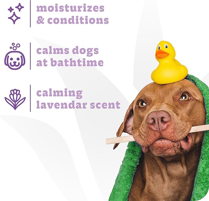 Espree Calming Lavender & Chamomile Shampoo & Conditioner, Soothes & Relaxes with Lavender, Moisturizes with Aloe Vera, Anti-Inflammatory Chamomile, Dry & Sensitive Skin, Gentle Pet Grooming, Gallon