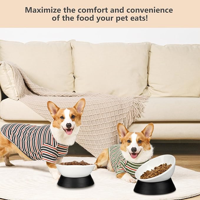 Bulldog Bowl Anti-Slip Dog Cat Dish Detachable Ceramic Pet Sterile Tilted Pet Feeder Slope Base (White Ceramic Bowl, 2 Cup)