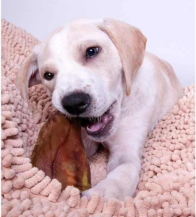 Healthy Pig Ear Chews for Dogs – Brazilian Made High Protein Pig’s Ears Pet Treats – Thick Cut, Oven Baked & Slow Cooked Delicious Dog Chew Snacks – No Preservatives, No Additives – 20 Ears