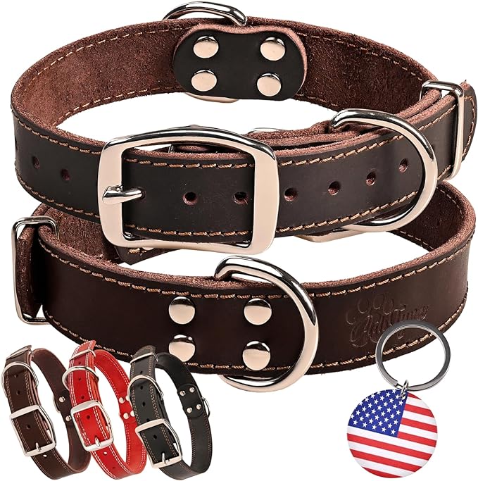 ADITYNA Heavy Duty Leather Dog Collar - Soft and Strong Dog Collar for Medium Dogs - Perfect for Walking, Training, Hiking, Traveling, Playing, and Running (Medium: Fit 13" - 20" Neck, Brown)
