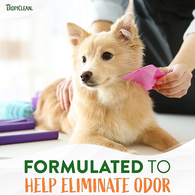 TropiClean High Concentrate Dog Shampoo, Professional Grade & Size for Groomers, 42:1 Dilution, Puppy Safe, USA Made, Sweet Mandarin Scent, 1 Gallon