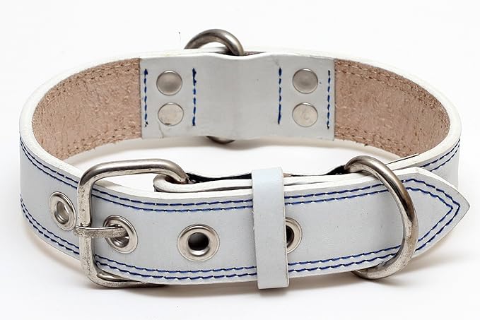 Premium Leather Collars with Stainless Steel Buckles (15"-18", White)