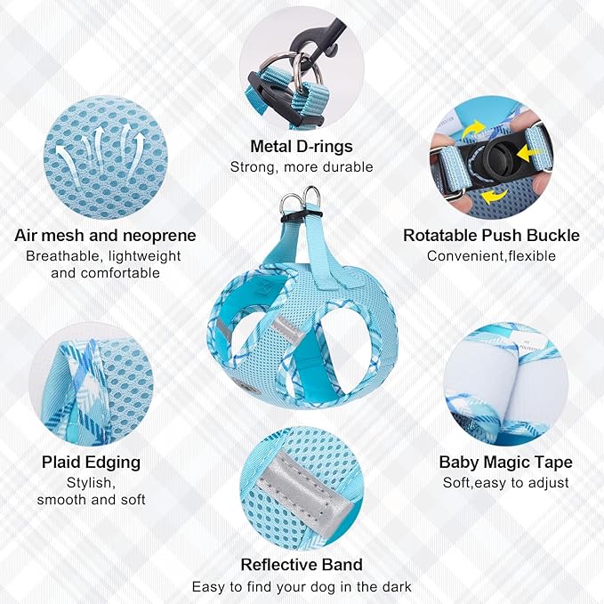 BEAUTYZOO Dog Harness and Leash Set for Small Medium Dogs,No Pull Step-in Harness for Puppy S M Sized Dogs and Cats,Air Mesh Adjustable Breathable Soft No Chock Escape Proof Vest Harness,Sky Blue S