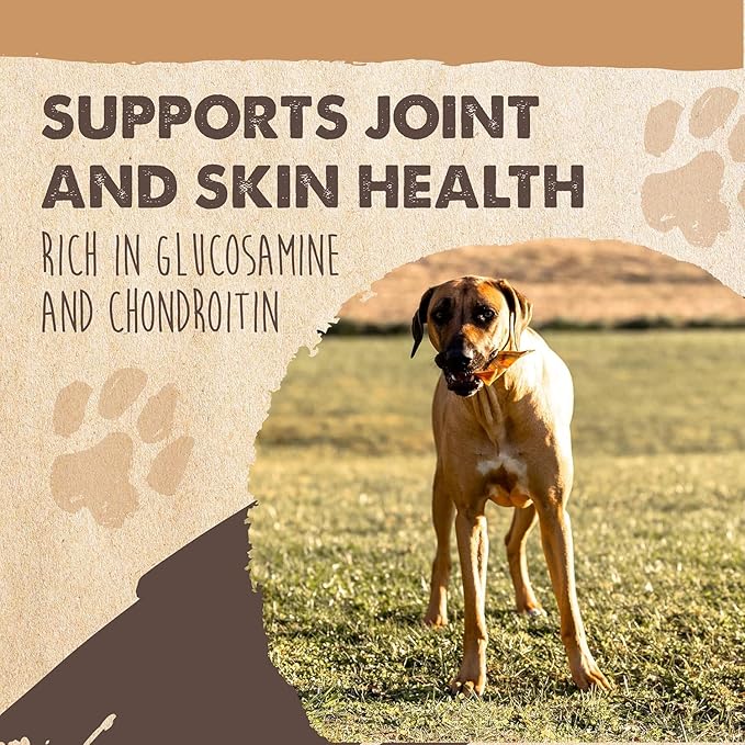 Mighty Paw Half Pig Ears for Dogs - All Natural Single Ingredient Natural Dog Ear Treat - Better Than Rawhide Snacks for Puppies - A Better Treat Dog Bone Alternative for Medium and Large Dogs