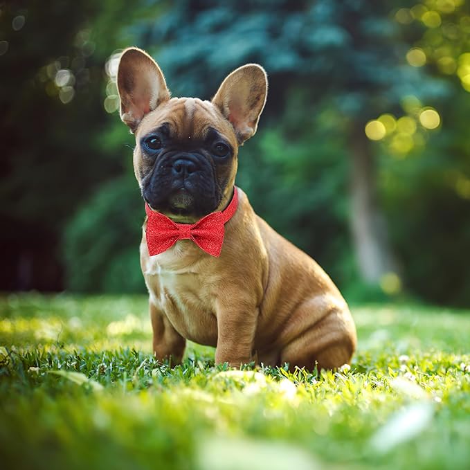 Red Dog Collar with Bow, Bling Bowtie Dog Collar for Small Medium Dogs, Cute Walking Boy and Girl Dog Collar (Neck fit 13-19’’)