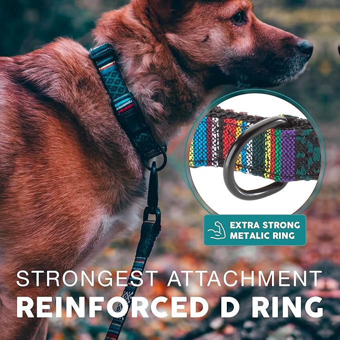 Embark Urban Dog Collar – Dog Collar Stylish & Durable Nylon Dog Collar for Large Dogs, Small Dogs & Medium Dogs.Comfortable Pet Collar Strong Buckles for Any Size Breed (Mayan, Medium)