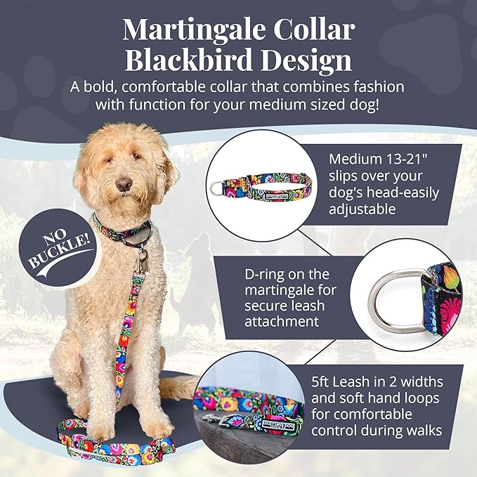 Lucky Love Dog Martingale Collar and Leash Set, Premium No Slip Collar and Leash Set, Floral Vivid Pattern Martingale Collar, Great for Whippets, Greyhounds, and More (Blackbird, Medium - Combo)