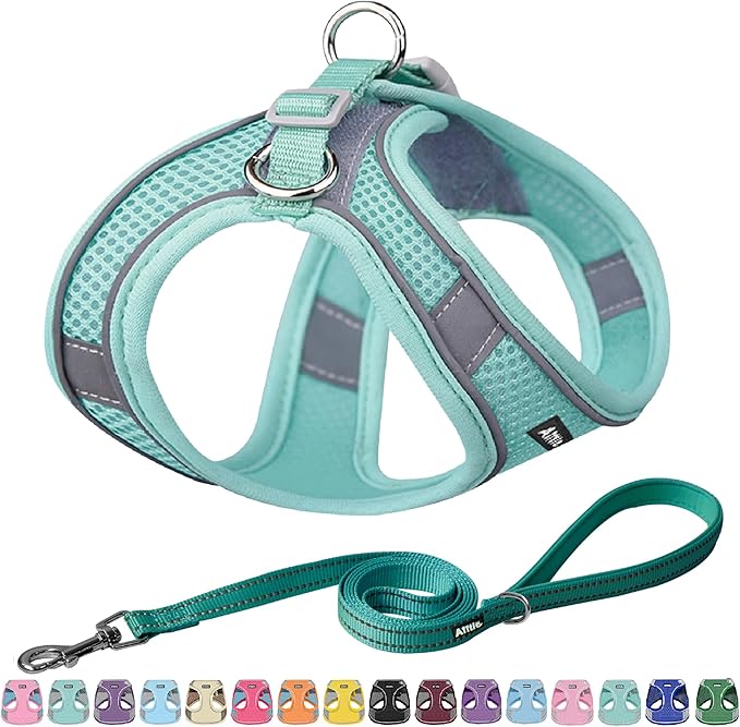 AIITLE Easy Walk Dog Harness and Leash Set - Pet Supply No Pull, Step in Adjustable Dog Harness with Padded Vest for Spring, Dog Harness No Choke Over, Easy to Put on Medium Dogs Pure Turquoise L