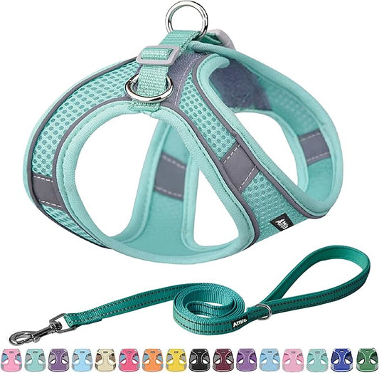 AIITLE Step in Dog Harness and Leash Set - Spring No Pull Escape Proof Vest Harnesses with Soft Mesh and Reflective Bands, Adjustable Pet Outdoor Harnesses for Small and Medium Dogs Pure Turquoise M