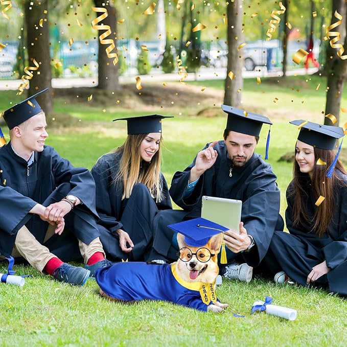 5 Pcs Dog Graduation Costume Set Include 2025 Pet Graduation Gown with Stole Puppy Grad Cap Lensless Glasses DIY Letter Stickers for Dogs Cats Holiday Costume Accessory(Blue Yellow,L)
