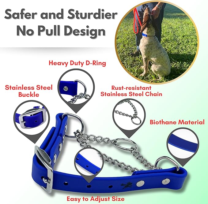 Martingale Collar for Dogs, Biothane, Stainless Steel Hardware, No Pull, Made in The USA, Professional Grade, Large, Blue