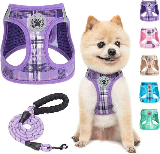 BEAUTYZOO Small Dog Harness and Leash Set,Step in No Chock No Pull Soft Mesh Dog Harnesses Reflective for Extra-Small/Small Medium Puppy Dogs and Cats, Plaid Dog Vest Harness for XS S Pets, Purple XS
