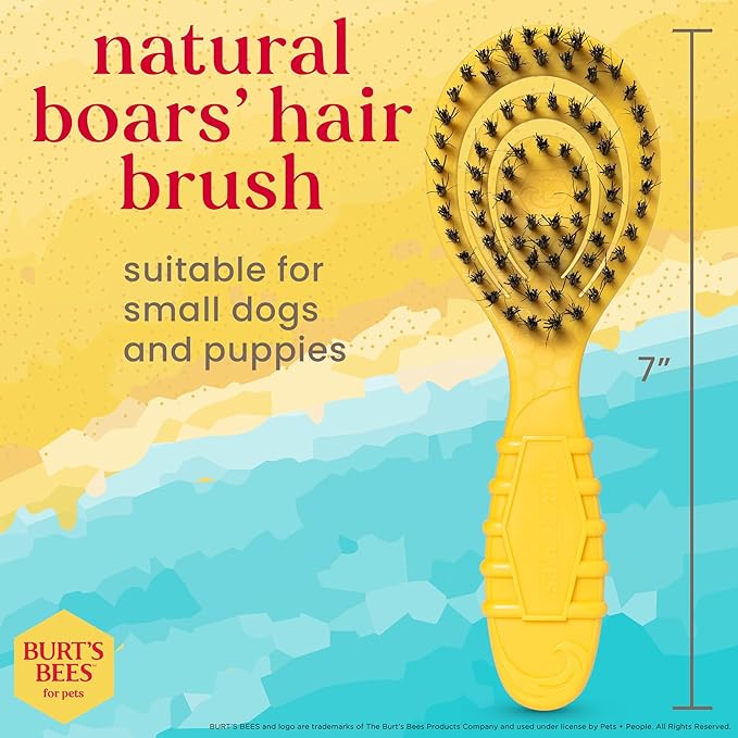 Burt's Bees for Pets Small Bristle Brush with Natural Boar’s Hair & Nylon | Handle Made from Recycled Plastics Collected from Coastal Communities | De-Shedding Eco Friendly Dog Grooming Brush