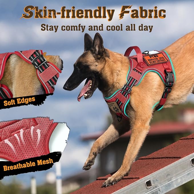 rabbitgoo Dog Harness Medium Sized No Pull, Tactical Service Dog Vest with Molle and Control Handle, Adjustable and Reflective Military Pet Harness for Easy Walking and Training, Red, M